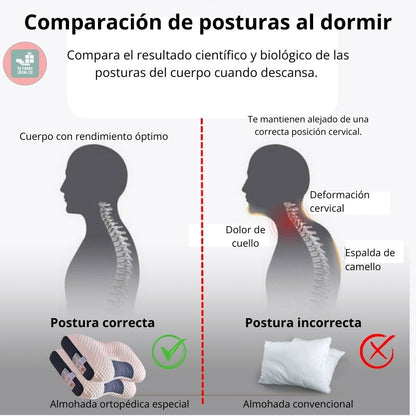 DELUXE ERGONOMIC PLUS Almohada Ortopedica 3d Con Alineación Cervical Perfecta