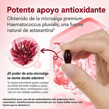 Astaxantina | El poderoso antioxidante anti edad| Protege tus células desde adentro la clave para tu inmunidad de cuerpo.